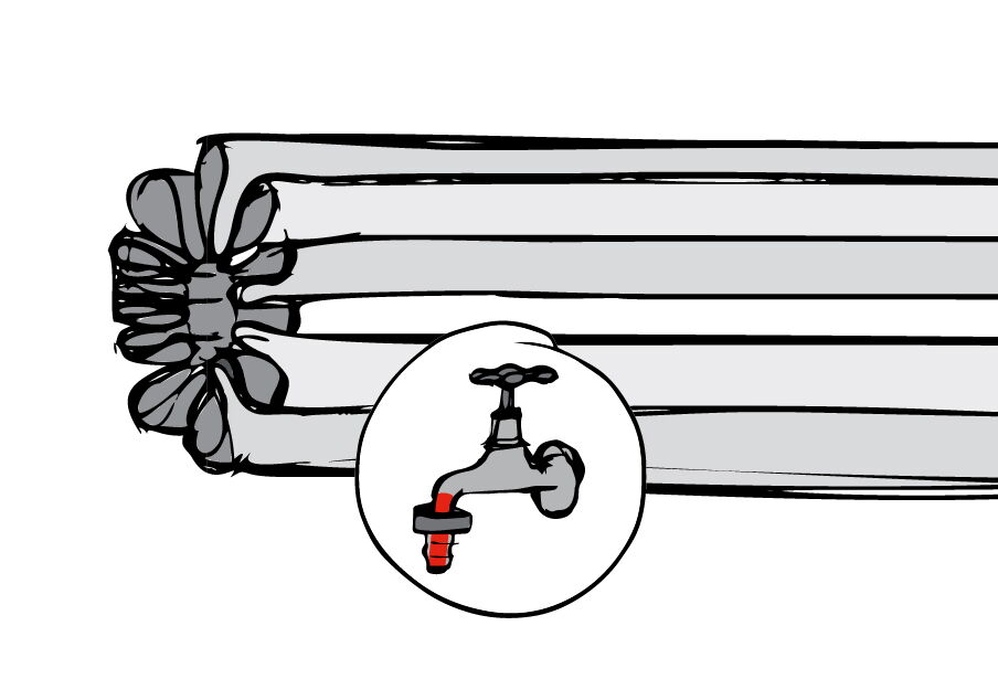 Profile shelf